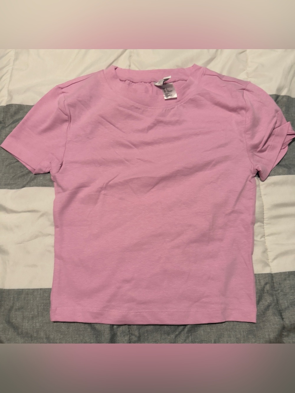 Divided Pink Short Sleeve Crop Top